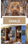 Cityscapes Spanje - Lesley Nieuwenhuis - 9789464925449
