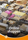 Online shoppen - Ferry Siemensma - 9789464392258