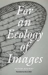 For an Ecology of Images - Peter Szendy - 9781804294314