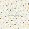 Boost - BBNC - 9789045323770