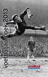 Voetbaljaarboek 2013 - Johan Derksen - 9789071359620