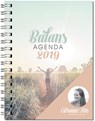 Balansagenda 2019 - Carianne Ros - 9789033878244