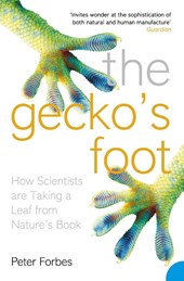 The Gecko’s Foot