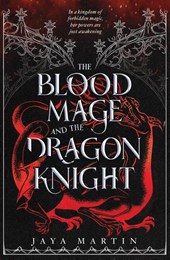 The Blood Mage and the Dragon Knight