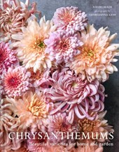 Chrysanthemums