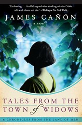 Tales from the Town of Widows