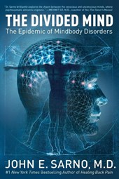The Divided Mind