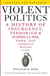 Violent Politics