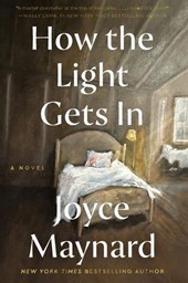 How the Light Gets In