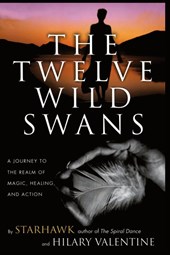 The Twelve Wild Swans