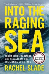 Into the Raging Sea