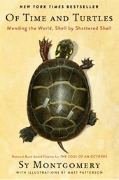Montgomery, S: Of Time and Turtles