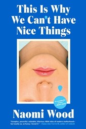 This Is Why We Can't Have Nice Things