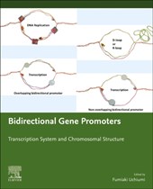 Bidirectional Gene Promoters
