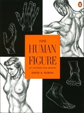 HUMAN FIGURE