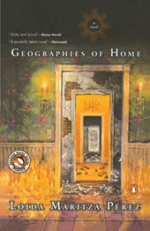Geographies of Home