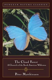 The Cloud Forest