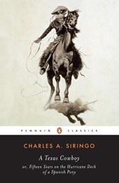 A Texas Cowboy