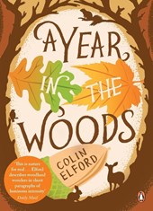 A Year in the Woods