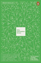 Why Information Grows