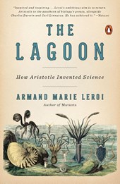 The Lagoon