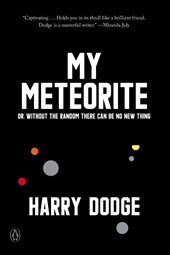 My Meteorite