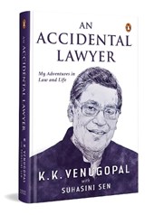 An Accidental Lawyer