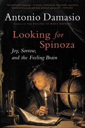 Looking For Spinoza
