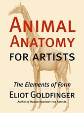 Animal Anatomy for Artists