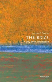 The BRICS
