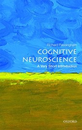 Cognitive Neuroscience