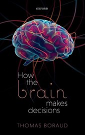 How the Brain Makes Decisions