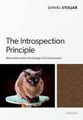 The Introspection Principle