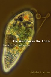 Amoeba in the Room: Lives of the Microbes