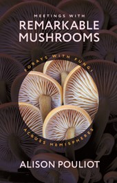 Meetings with Remarkable Mushrooms
