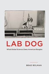 Lab Dog
