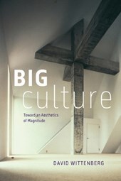 Big Culture