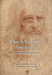 What Is Nietzsche's Zarathustra?