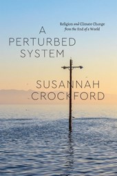 A Perturbed System