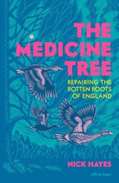The Medicine Tree