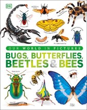 Bugs, Butterflies, Beetles and Bees
