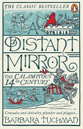 A Distant Mirror