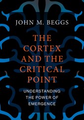 The Cortex and the Critical Point