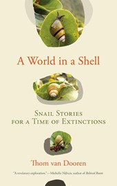 A World in a Shell