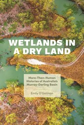 Wetlands in a Dry Land