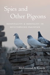 Spies and Other Pigeons