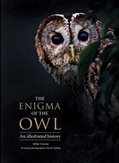 ENIGMA OF THE OWL