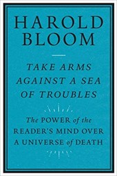 Take Arms Against a Sea of Troubles