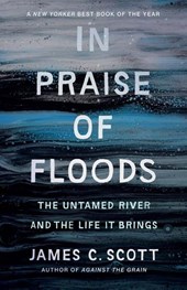 In Praise of Floods