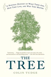 The Tree